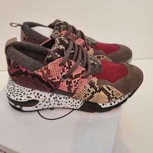 Steve Madden Cliff sneakers